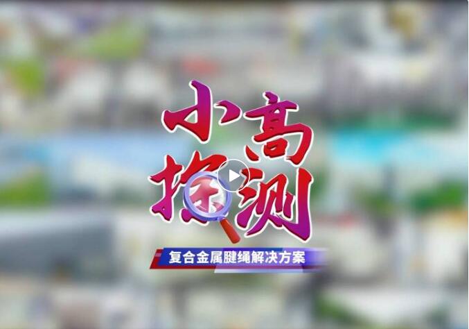 小高带您揭秘z6com·尊龙股份复合金属腱绳解决方案